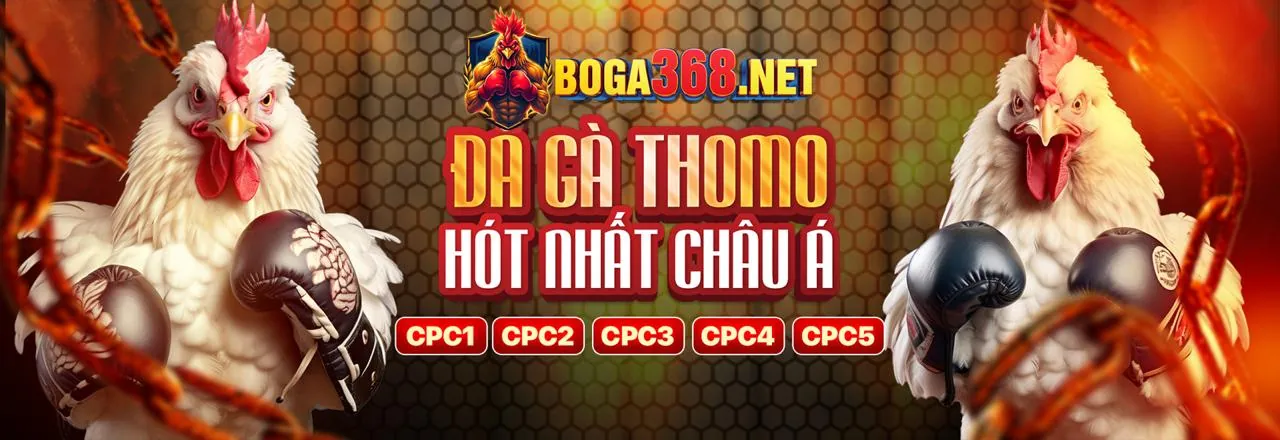 Hướng Dẫn Người Mới Keochinh