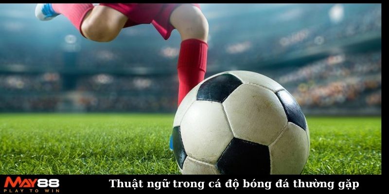 Thuật ngữ trong cá độ bóng đá thường gặp