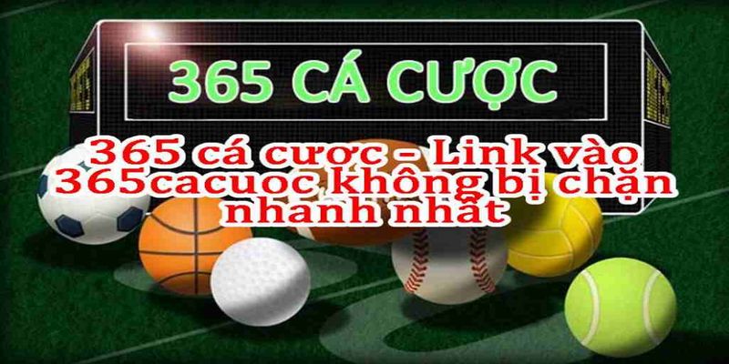 Ưu điểm của 365 cá cược