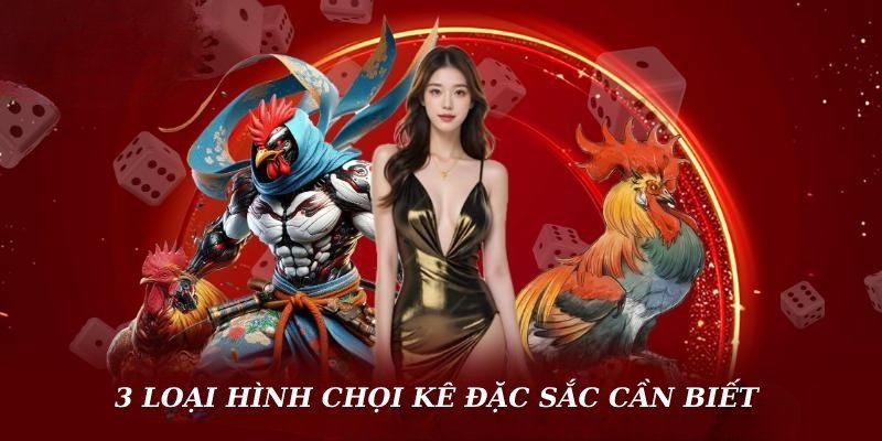 3 loại hình chọi kê đặc sắc cần biết