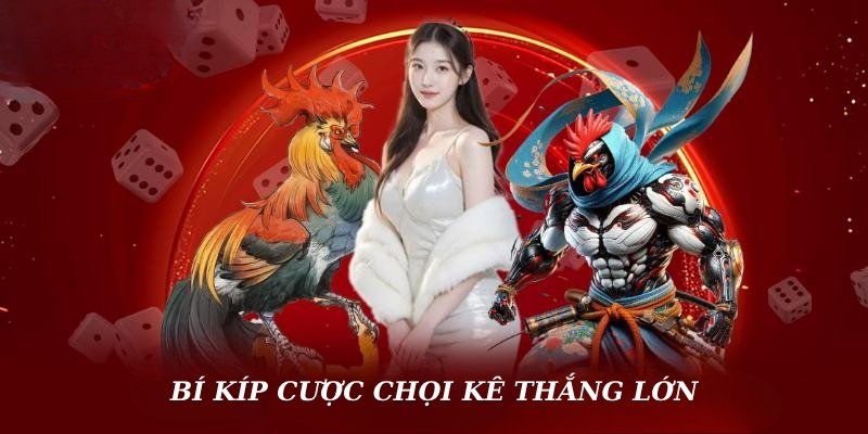 Bí kíp cược chọi kê thắng lớn cùng BK8